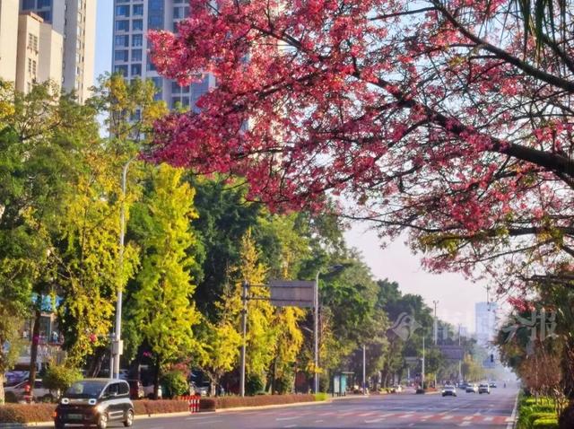 柳州，彩色刷屏！大反转也要来了！