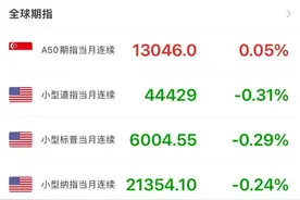 美股盘前三大期指齐跌，Palantir涨24%，热门中概股大涨，谷歌接近持平图片