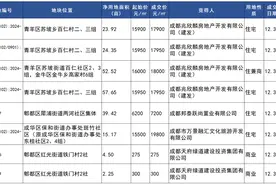 成都土拍丨最高19800元/㎡ 成都2024年土拍收官图片