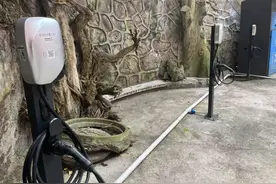 中移物联和易充助力乐山公共服务升级，共建绿色出行新生态图片