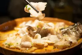 鱼肉有重金属？这些鱼可能重金属含量更高图片