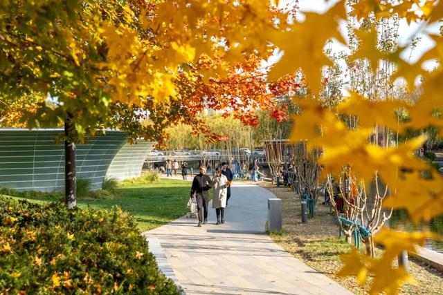 今年，朝阳有“加长版”秋日心动