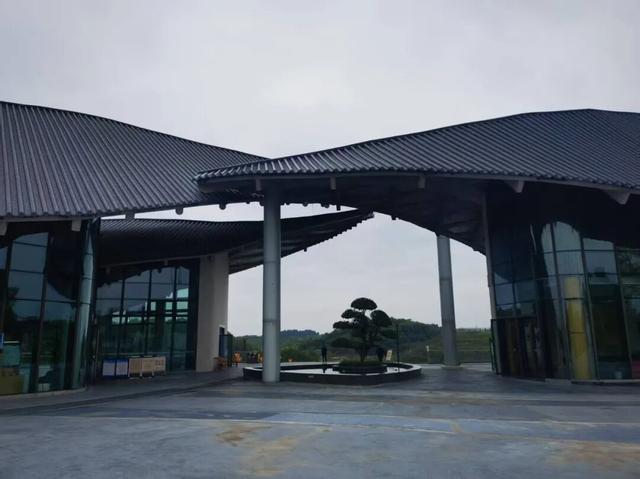 坐标简阳，361岁古桥，202岁石狮，与2分钟起落的飞机