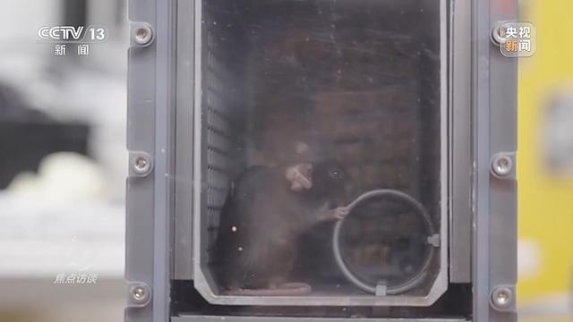 焦点访谈丨中国航天奏响新乐章 神二十一有接力更有突破！