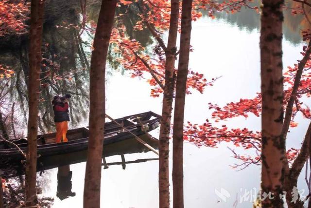 蕲春塔林的秋天，让人不愿离开