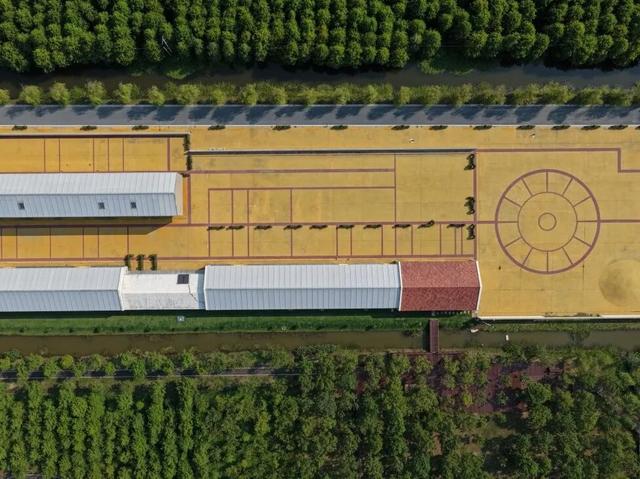 热搜！寒潮收尾！周末最高21℃！来光明东滩源、黄山茶林场兜兜…最低2折特惠！太值了！