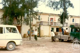 深圳经济特区45年：从杀出血路到创出新路图片