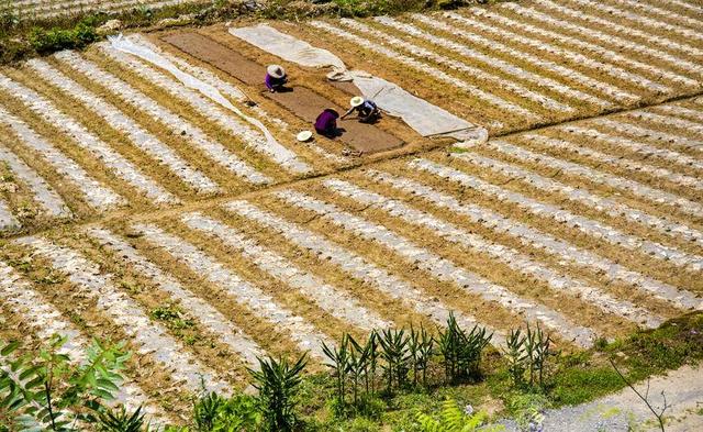 利川云雾山：日月绣岭结仙梁