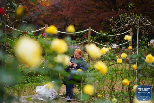 东京：秋意盎然