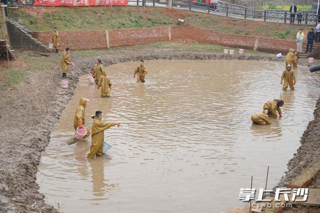 热闹不只在元宵，湘江这座江心岛何以“渡未来”？