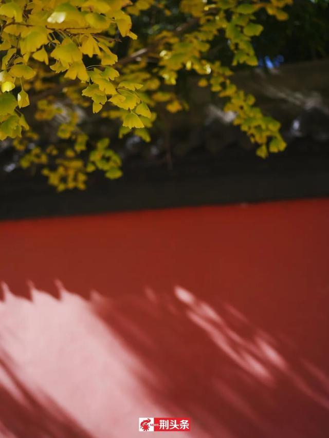 故宫同款秋色，惊艳了荆州
