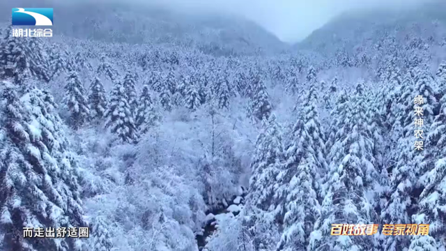 《是这个理》：缘来神农架