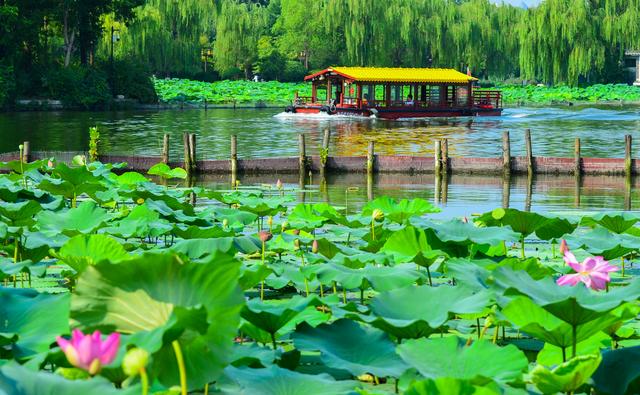 一泓清泉里，解锁济南“诗与远方”的夏日答卷