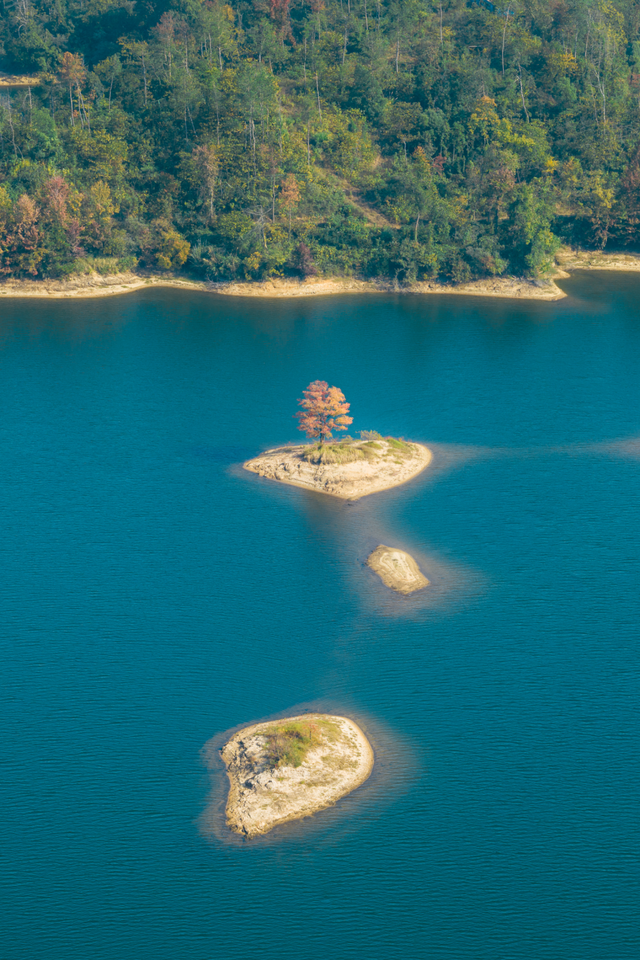 别去日本了！新洲的“同款”风景，美得更懂你