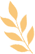 我宣布：高明的秋天开始了！