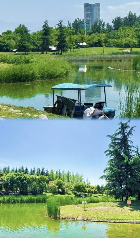 秋意浓，漫步图鉴就在→