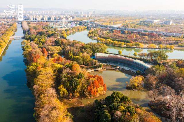 秦淮citywalk｜七桥瓮湿地公园