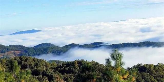 日出云海齐上阵！冬日的楚雄，美成了仙境