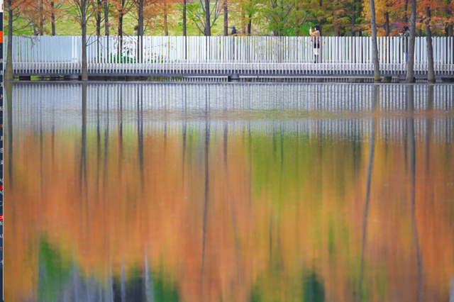 绝美！成都红枫进入最佳观赏期！线路来啦