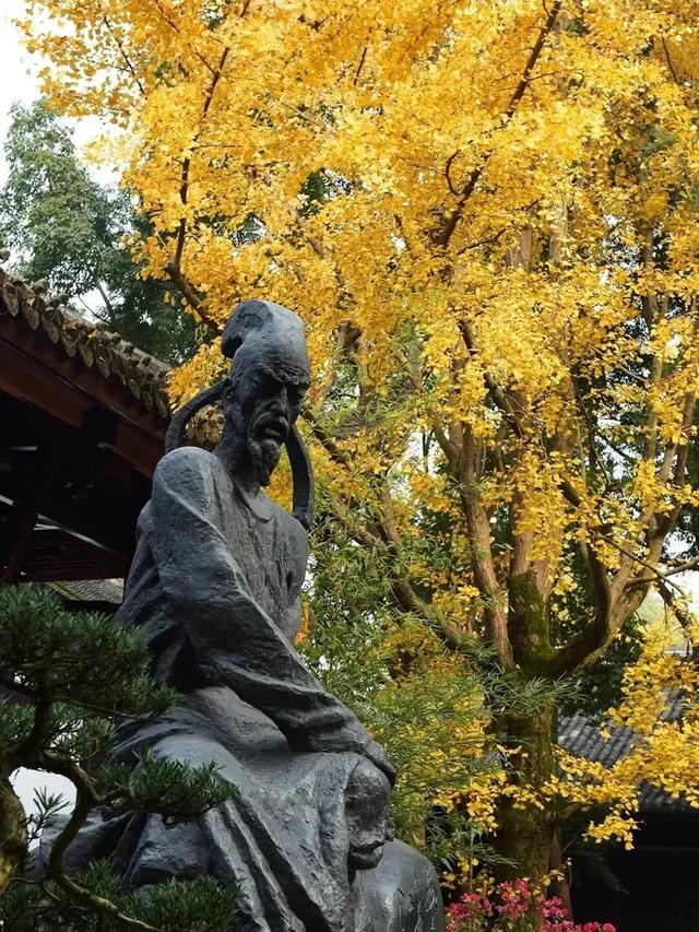 8天假来成都咋个玩？成都出招了！