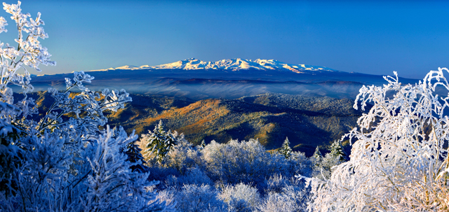 和龙顶流！美翻了！