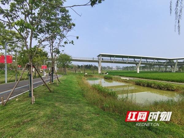 国庆中秋，来长沙大泽湖，欢乐享不停！