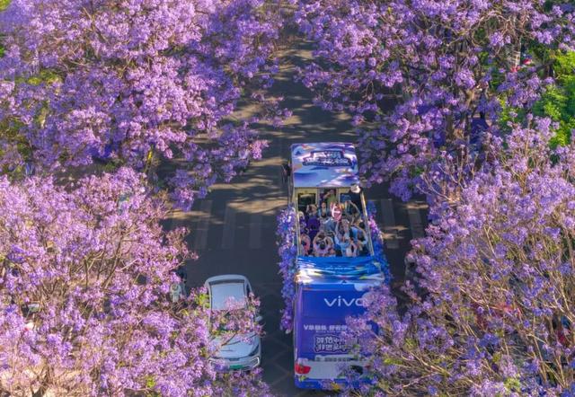 云南省委书记的“旅创”之邀