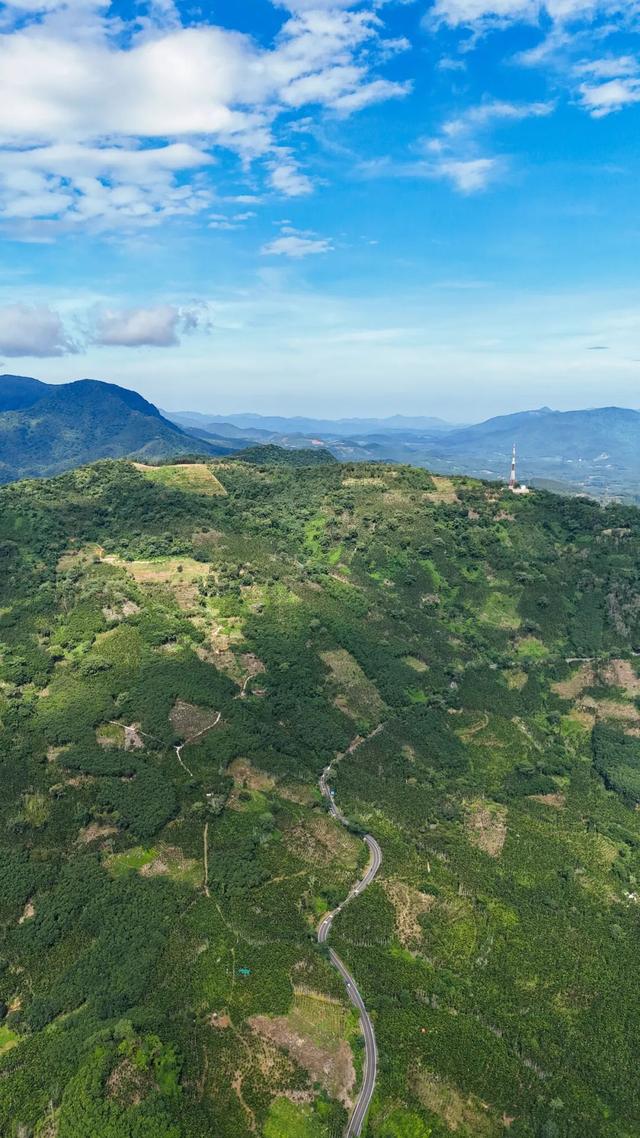 图观白沙 | 白沙山城的绿意秘境