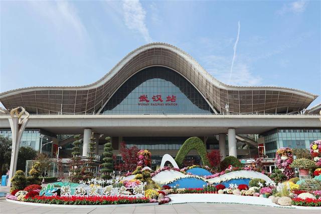 金秋菊展亮相武汉站，数万株菊花打造“大学之城”人文画卷