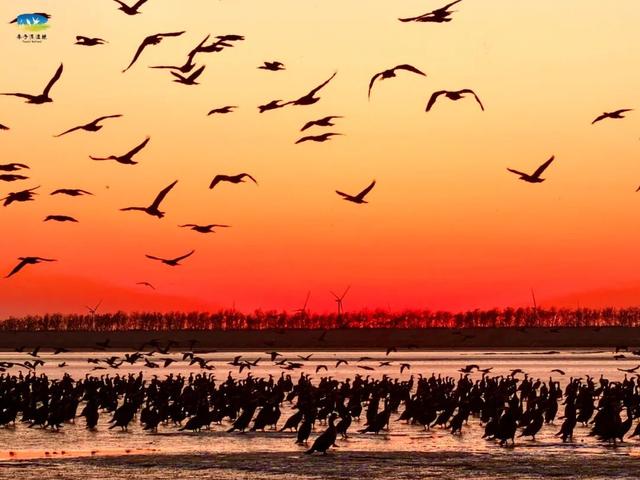 欢迎永州兄弟！盐城景区免费游