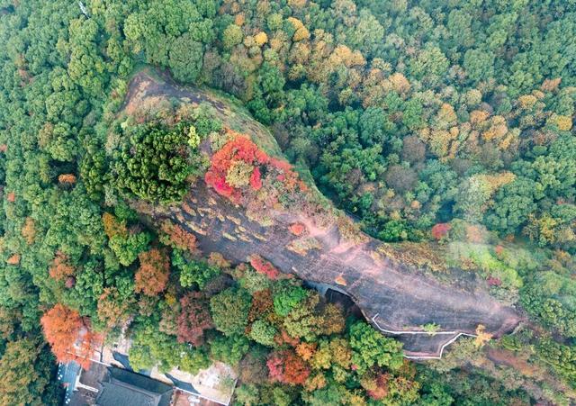 鸭头管够！跟着浙BA游衢州，3条游线路解锁南孔圣地诗画风光