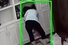 吓哭！女子拆快递，竟拆出活老鼠！多方回应图片
