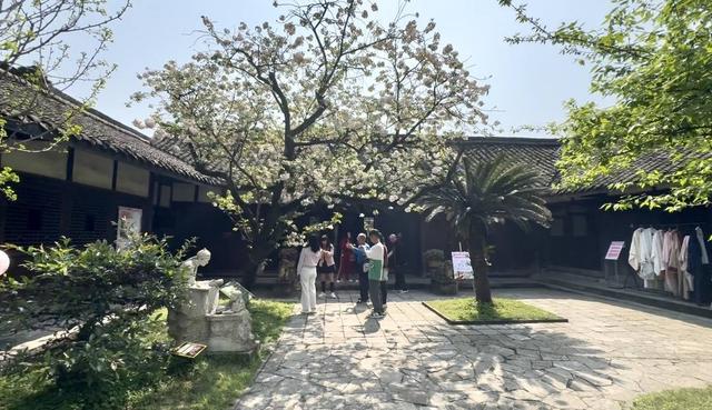 免票、半价！四川乐山多个景区官宣