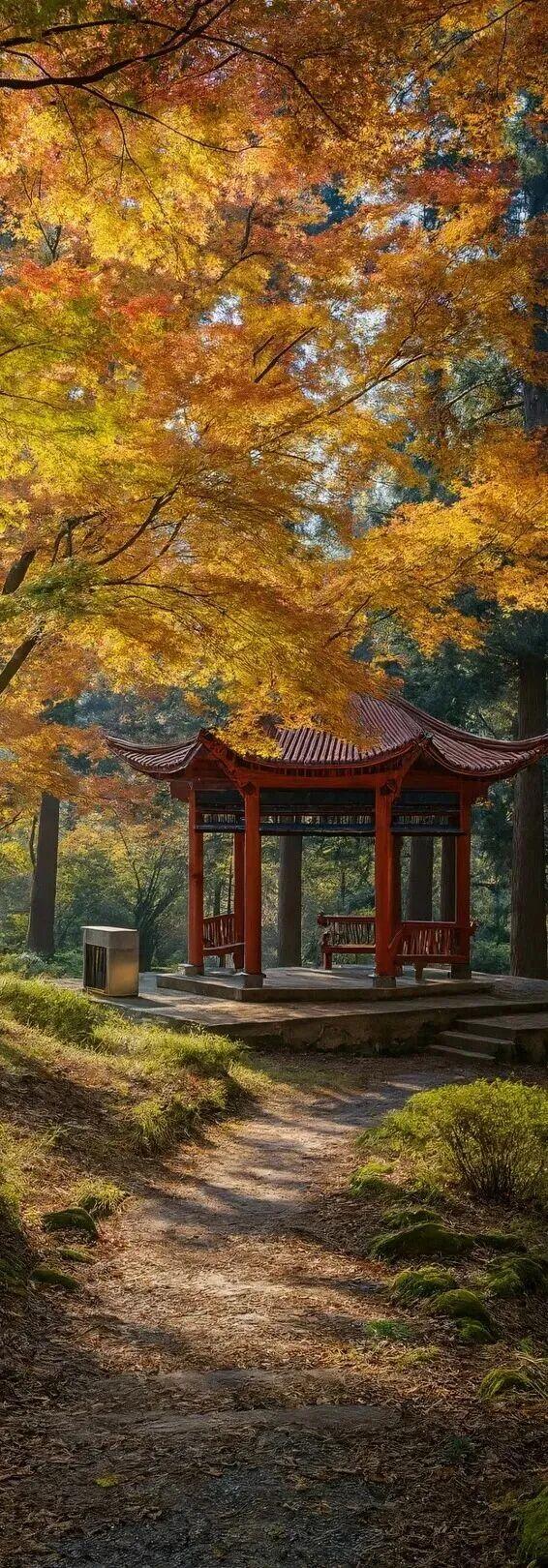霜降已至，江西这几座名山秋色绝美，快来打卡！