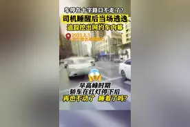 租车跑网约能挣大钱？多名司机被这样“套路”了图片
