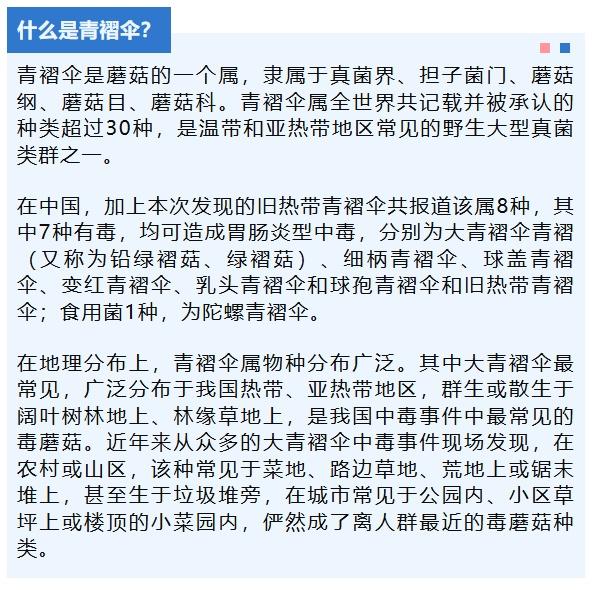 三亚3人中毒，国内首次发现！这种蘑菇千万不能吃！