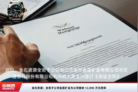 金石资源：全资子公司金昌矿业为公司提供 12,000 万元担保视频封面