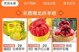 拼多多上线“多多丰收馆”，优质农货直连餐桌图片