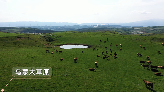 清凉天丨贵州六盘水：19℃夏天里的人间烟火