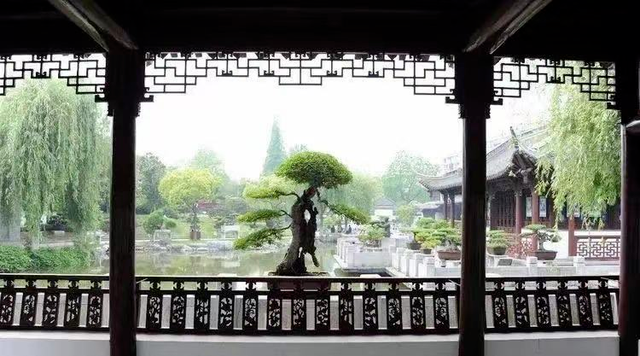 八面玲珑，见泰州N面！