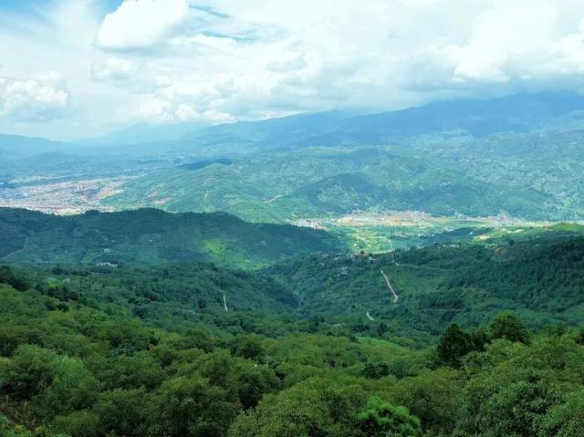 漾濞是“世界核桃起源地”！有五个维度可为证……