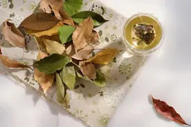 喝茶好处多！但也有讲究图片