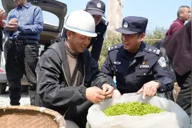 春茶上新，浙江一地“茶警”上线图片