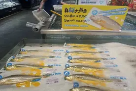 “一米八”又准备进军肉牛产业，马云的大黄鱼和贻贝生意还好吗？图片