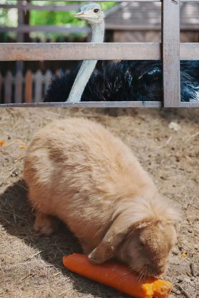 江宁“下雪”啦~