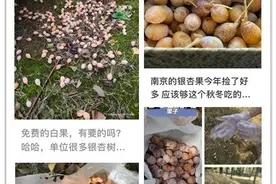 警惕！很多人爱捡！可能中毒！图片