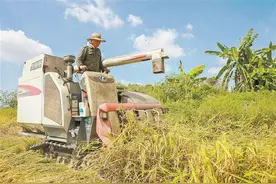 厦门启动新一轮农机报废更新补贴：种类扩大 标准提高图片