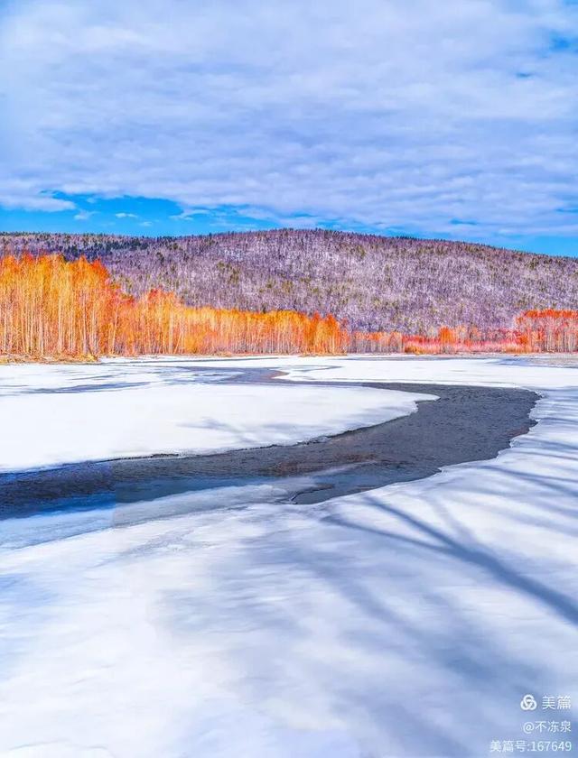 冷极秘境——2025年呼中的冬雪魅景