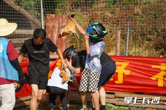 抓鸡摸鱼、彩虹滑道……长沙溪野花田解锁假期遛娃新玩法丨组图
