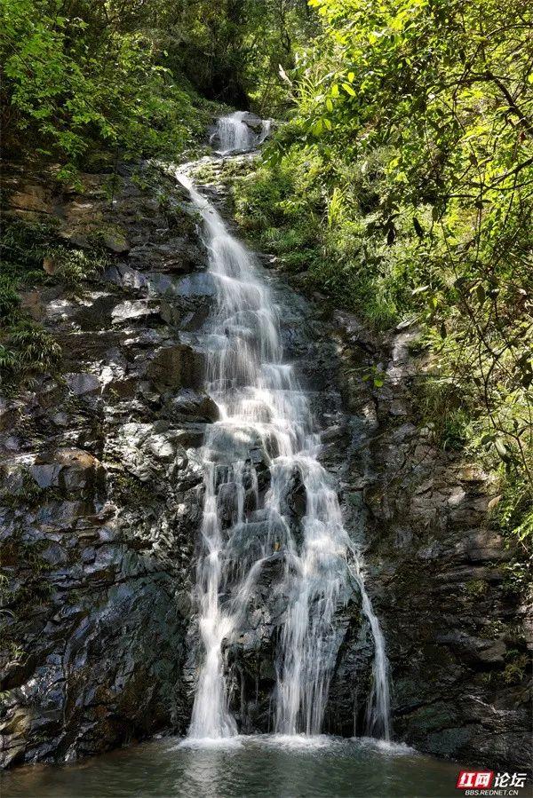 周末出走计划：浏阳深山溯溪营地，承包一整夏的清凉